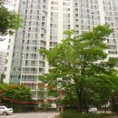 수원-1046 이미지