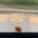 (주)광명전기 | 밀린 일상 8월 근황 일기 끄적끄적..