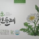 토종민들레가 흰민들레라는 것을 아는지요? 건강에 정말 좋은 흰민들레진액 추천합니다! - 우리들식품