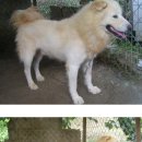 이정순농장 이미지