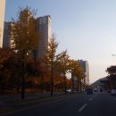 제일보조기 이미지