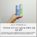 아프지 않은 저자극 모이스트 니들샷 시카크림 하리마로 솔직 후기