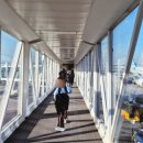 우진카 | 제주 우진해장국 웨이팅 후기｜SK렌터카 제주 이용 후기 km요금 실제 비용