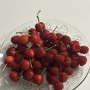 뽑기하고 갈래 이미지