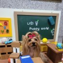에이치에스평생교육원