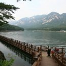 호수펜션민박 이미지