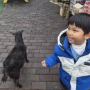 참샘길 | 참샘허브나라 밀양 눈썰매장 부산 근교 겨울 가볼만한곳