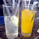 수원-0578 | [내돈내산] 수원 스타필드 반려동물 동반 식당 '달마시안' | 수원 스타필드 애견 동반 식당 | 수원 스타...