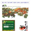 장복농장 Daum카페