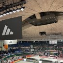 한국체대 정진태권도 이미지