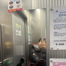 반박자 느려도 좋은 포루투갈 | 발레온도 6개월 다녀본 찐후기｜몸치도 가능한 성인발레 기초반 현실 변화 (예약팁·주말수업 추가)