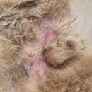 24시 해든동물의료센터 민락점 이미지