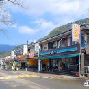 고양이발자국 이미지