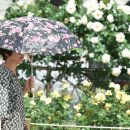 장미공원C 이미지