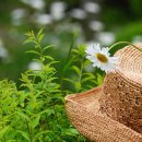 (주)혜우 이미지