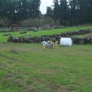 하이얀목장 이미지