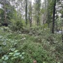 계남근린공원 이미지