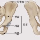 쏘에르필라테스