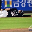 황새울로342번길 이미지