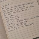 스테이레이어 이미지