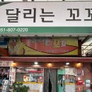 달리는꼬꼬 네이버블로그