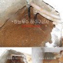 연동초등학교정문 이미지