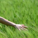 종난농장 이미지