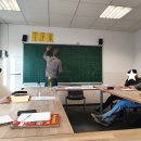 슐레 이미지