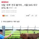 내일 '초복' 전국 불가마…서울 34도·대구 37도 이미지