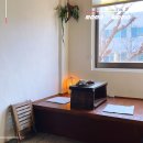 솔올정원 | 3월 강릉 가볼만한곳 2박3일 강릉 여행 코스