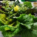 김기열 농장 이미지