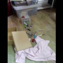 포항시북구84 이미지