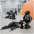 용인대 화랑 합기도 이미지