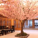 제이스 관광호텔 이미지