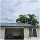 도로시민박 이미지