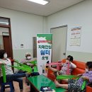 고달 이미지