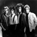 더그레이 The Gray 이미지