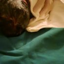 모태산부인과의원 이미지