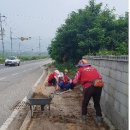 민들레자원