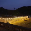 헬로우댕댕