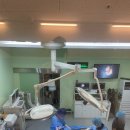 로얄동물메디컬센터 본원 | 13살 노견 무릎십자인대 수술 로얄동물메디컬센터 본원
