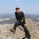 서선초등학교 이미지