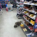 이마트24태안중앙점 이미지