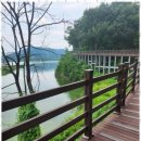 구미 행정사 이미지