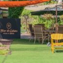 피오르디 젤라또 이미지