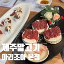 함덕 조아 | 제주도말고기 맛집 함덕 마리조아 본점