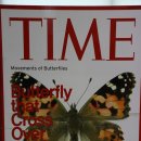 [제주도] #3-1 동양 최대 실내 나비 박물관 "프시케 월드" 이미지