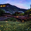 무주반딧불투어 이미지