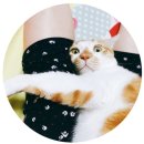 지축사진관 증명사진 요즘사진관 보정잘하는곳