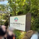 소백산 등산코스 어의곡 비로봉 천동 초여름 날씨 산행 후기